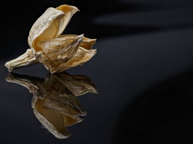 Siyah akrilik kartonda yansıması olan kuru bir fabrika.