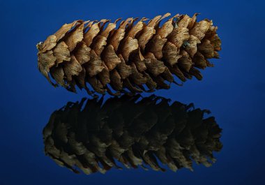 Mavi bir akrilik tahtada yansıması olan kuru bir fabrika.