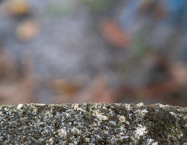 Tuğlalı bulanık bir arkaplan. Yazma, metin, resim ve diğerleri için bir boşluk olarak kullanılabilir.