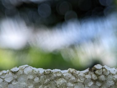 Bulanık yeşil arka planı olan yakın plan beyaz polistiren. Yazma, metin, resim ve diğerleri için bir boşluk olarak kullanılabilir