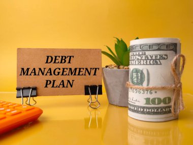 Hesap makinesi, yeşil bitki, banknotlar ve sarı zemin üzerinde DEBT MANAGEMENT planlı kahverengi kart.