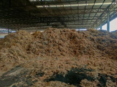 Depoda depolanan palmiye meyvelerinin fiber ve eflatun yığınları.