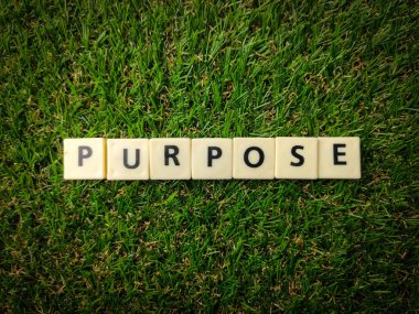 Üst görünüm oyuncakları kelime ile yeşil çimen arka plan üzerinde metin PURPOSE.