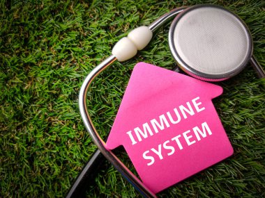 Üst görünüm steteskop ve çimen arkaplan üzerinde IMMUNE SİSTEM yazılı renkli not.