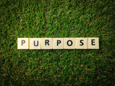 Üst görünüm oyuncakları kelime ile yeşil çimen arka plan üzerinde metin PURPOSE.
