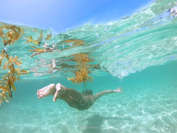 Woman snorkeling with a scuba diver under the ocean.