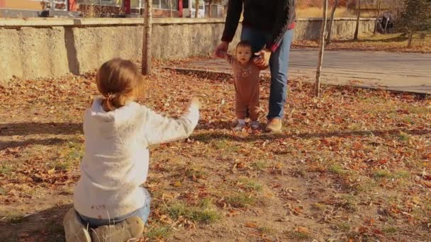 Bebé Aprendiendo Caminar Ayudado Por Padre Hermana Bebé Parece Emocionado — Vídeo de stock