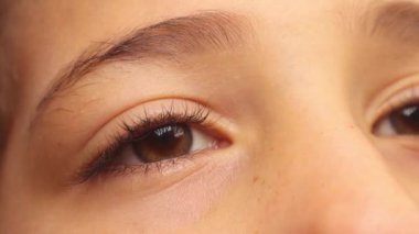 Hazel Eye yaklaş. Küçük bir kızın gözleri. Kornea açıkça görülüyor ve iris de altında fındık var. Güzel kahverengi bal zambağı ile göz açıcı. Sağlıklı görme konsepti. Gözbebeği, insan. Çocuklar, çocuklar.