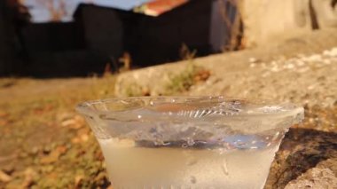 Cat drinking water. Cats drink by bending their tongue back in the shape of a spoon, which carries water into the mouth. Giving water to stray animals in the summer, Thirsty kitten. Help, Homeless