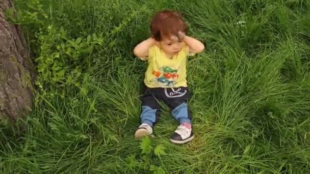 春天的一天 婴儿坐在公园的草地上 外面漂亮的儿童肖像 快乐的童年在户外 小男孩在草地的背景下 孩子们 — 图库视频影像