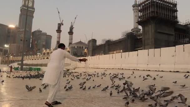 Город Мекка Королевстве Саудовская Аравия Октября 2023 Года Кормление Голубей — стоковое видео
