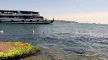 İstanbul, Türkiye. Boğaz Boğazı 'ndaki gemiler. Ayda bir kez İstanbul 'dan geçen gemi sayısı 40 bin civarında, İstanbul Boğazı' ndan geçen gemi. Martılar, martılar