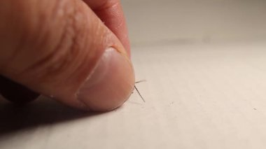 Beyaz arka planda sırtüstü zıplayan bir böcek. Böcekler izole edilmiş, böcek. Hatalar, hata