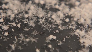 Siyah arka planda yakalanan kar tanelerinin nefes kesici güzelliğini keşfedin. Her eşsiz kristal doğanın narin sanatını sergiliyor. Kış temaları, tasarımları ve ilham kaynakları için mükemmel..