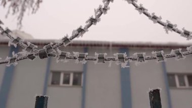 Keskin dikenli teller kristal gibi buzla kaplı, ürpertici bir sahne yaratıyor. Tellerin arkasında hapishaneyi andıran bir bina duruyor. Hapis ve sert kış koşullarını çağrıştırıyor..