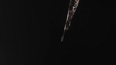 Su damlacıkları eriyen bir buz saçağından düşer, siyah bir zemin üzerinde izole edilmiş, karların erimesini, mevsimsel değişimi ve iklim etkisini simgeler. Montajlar, reklamlar ve yaratıcı projeler için mükemmel bir görüntü..