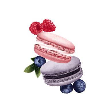   Pembe ve mor tonlarda iki lezzetli badem kurabiyesi içeren suluboya resimleme, taze ahududu ve yaban mersiniyle eşleştirildi. Pastane temalı ambalaj, yemek çizimleri, menüler veya tebrik kartları için mükemmel bir tasarım..