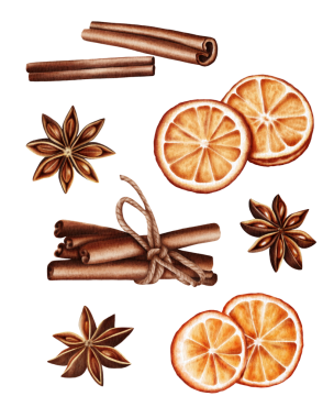 Watercolor elements of cinnamon sticks, star anise, and dried orange slices. Cozy and warm composition, perfect for Christmas and winter designs, packaging, greeting cards, and seasonal decorations.