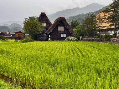 Rustik Görkemli Evler: Shirakawa Go kırsalını kucaklamak, Japonya