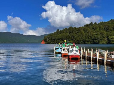 Hakone Lake Pier turistik pedallı kaz tekneleri ve Dağ, Kanagawa Bölgesi, Japonya