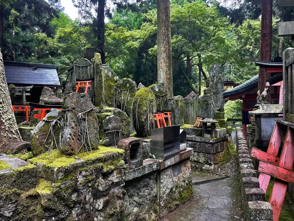 Božská Brána Chrámová Brána Fushimi Inari Taisha Sochy Lese Kjóto — Stock fotografie