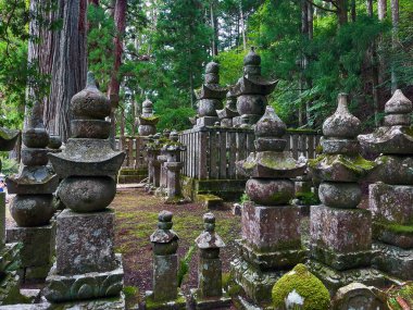 Taş Bilgeliği: Antik Koyasan Mezarlığı Sahneleri, Wakayama, Japonya