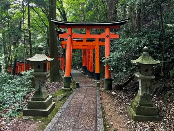 Kulturní Dědictví Vermiliánová Brána Fushimi Inari Taisha Kjóto Japonsko — Stock fotografie
