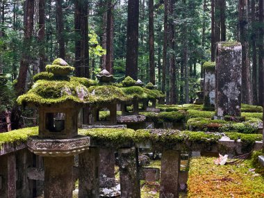 Zen Düşüncesi: Koyasan Tapınağı ve Mezarlığı Güzelliği, Wakayama, Japonya