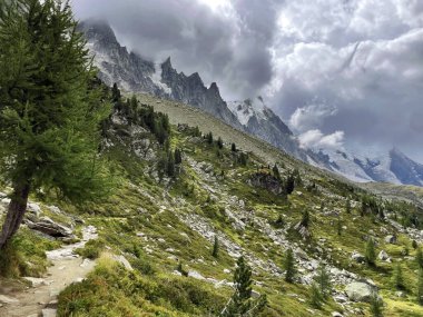 Alpine Promenade: Trail Path in Chamonix, Grand Balcon, France clipart
