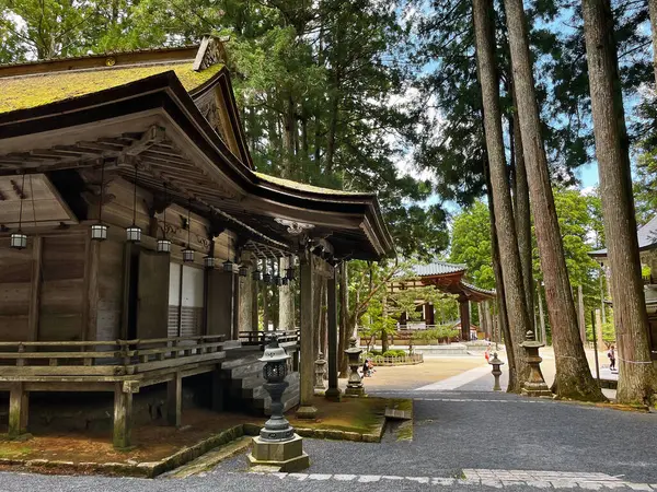 Dřevěné Útočiště Chrámová Pohoda Koyasanu Wakayama Japonsko — Stock fotografie