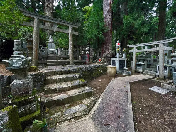 Sacred Silence Ancient Cemetery Tranquility Koyasan Wakayama Japan — Stock fotografie