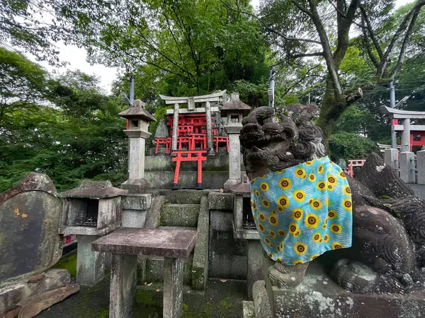 Duchovní Pasáž Fushimi Inari Taisha Torii Gate Temple Kjóto Japonsko — Stock fotografie