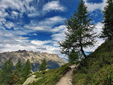 Grand Balcon Vista: Chamonix Mountain Trail Path, France clipart