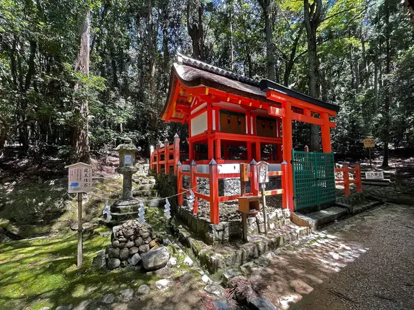 Věčná Harmonie Chrám Nara Harmonická Zahrada Kjóto Japonsko — Stock fotografie