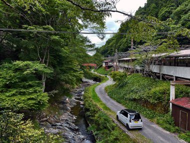 Koyasan Dağı 'na giden dağ yolu, Wakayama, Japonya