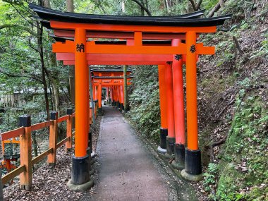 Red Majesty: Fushimi Inari Taisha Torii Tunnel, Kyoto, Japan clipart