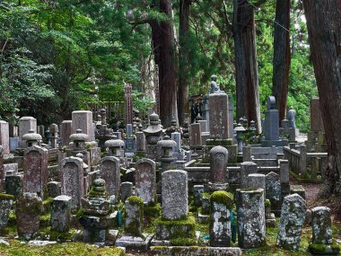 Tarihi Sessizlik: Koyasan, Wakayama, Japonya 'daki Tapınak ve Mezarlık Harikaları