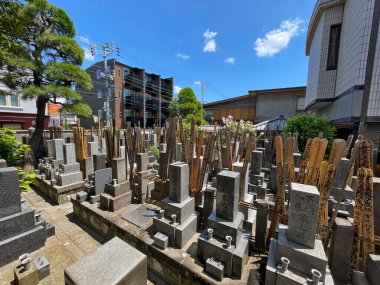 Shinjuku's Residential Bliss: Cemetery and Homes, Tokyo, Japan clipart