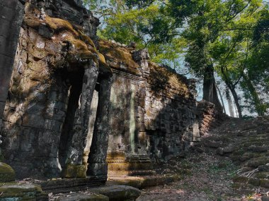 Prasat Preah Khan: Kamboçya 'nın Angkor Wat, Siem Reap, Kamboçya' daki Mirasının Fil Koruyucuları