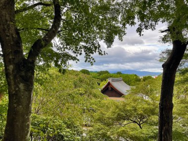 Sakin Orman Tapınakları: Gion 'un Ruhsal Tapınakları, Kyoto, Japonya