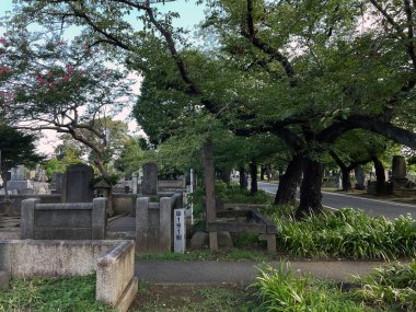 Yanaka Ginza Cemetery Graveyard: Tokyo's Timeless Enclave, Tokyo, Japan clipart