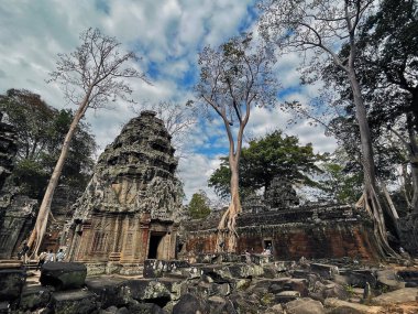 Ta Prohm Tapınağı: Angkor Wat 'ın Kalbinde Huzur Vahası, Siem Reap, Kamboçya