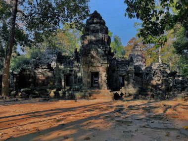 Orman Saklı Mirası: Ta Nei Tapınağı Antik Mirası, Angkor Wat, Siem Reap, Kamboçya