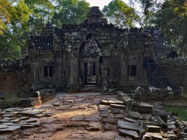Ta Nei Tapınağı Eski Büyüsü, Angkor Wat, Siem Reap, Kamboçya