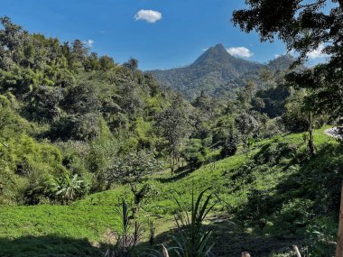 Mae Hong Son Loop, Kuzey Tayland 'daki Kırsal Dağlar ve Vadilerin Manzarası