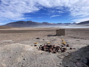 Endless Horizons of Desert and Lagoons, Reserva Eduardo Avaroa, Uyuni, Bolivia clipart