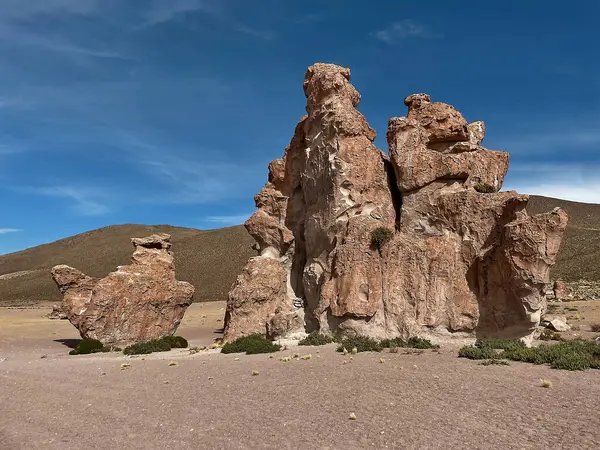 Uzak bir Çöl Kanyonu 'nda Jeolojik Deve Heykelleri, İtalyan Perdida, Colcha K, Uyuni, Bolivya