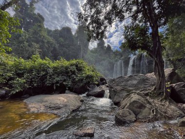 Phnom Kulen 'in Vahşi Yaşam ve Şelaleleri, Phnom Kulen, Kamboçya