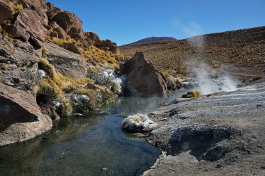 Yükselen buhar ve çöl havuzları, Gayzer Blanco, San Pedro De Atacama, Şili