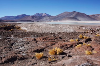 Sahne kırmızı kaya ve göl manzaraları, Piedras Rojas, San Pedro De Atacama, Şili